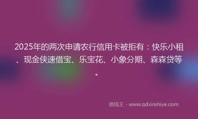 2025年的两次申请农行信用卡被拒有：快乐小租、现金侠速借宝、乐宝花、小象分期、森森贷等。