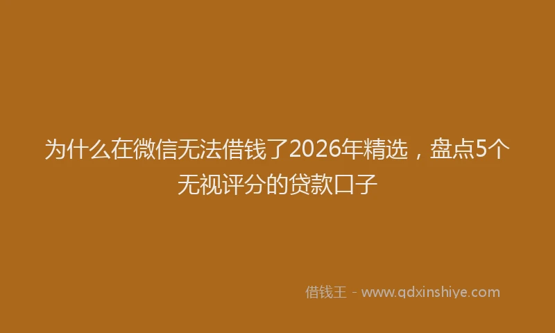 为什么在微信无法借钱了2026年精选，盘点5个无视评分的贷款口子