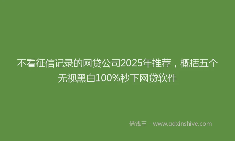 不看征信记录的网贷公司2025年推荐,概括五个无视黑白100%秒下网贷软件