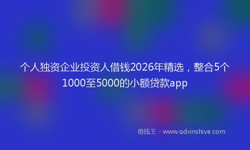 个人独资企业投资人借钱2026年精选，整合5个1000至5000的小额贷款app
