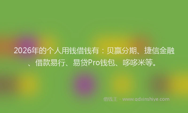 2026年的个人用钱借钱有：贝赢分期、捷信金融、借款易行、易贷Pro钱包、哆哆米等。