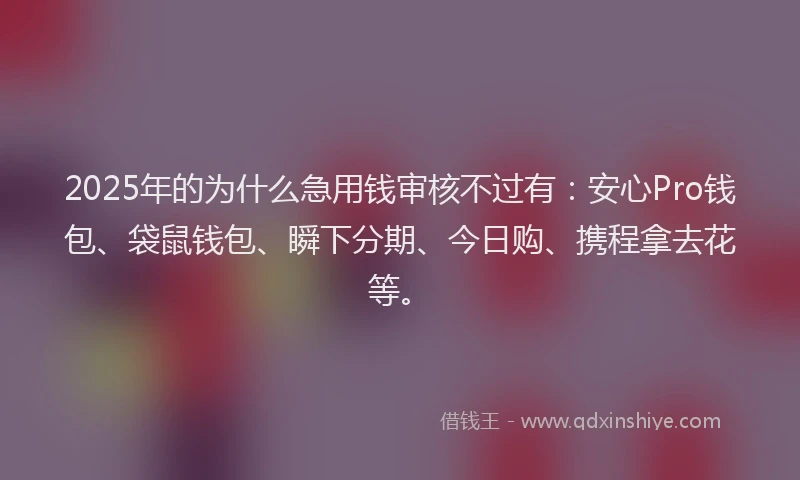 2025年的为什么急用钱审核不过有：安心Pro钱包、袋鼠钱包、瞬下分期、今日购、携程拿去花等。