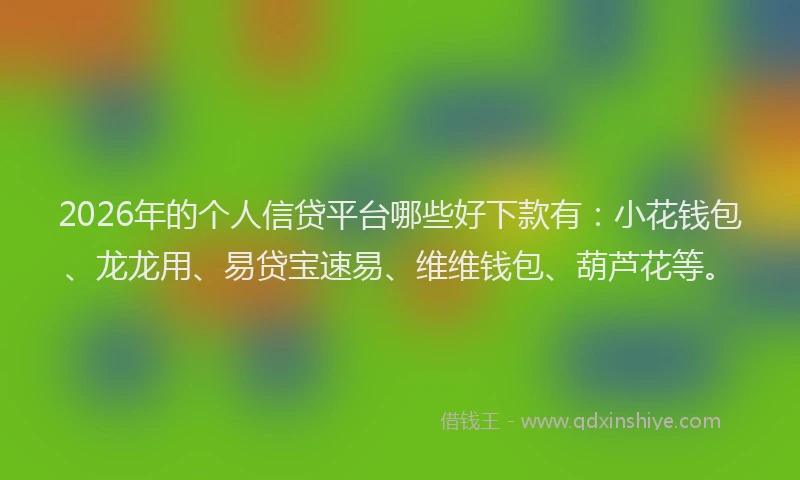 2026年的个人信贷平台哪些好下款有:小花钱包、龙龙用、易贷宝速易、维维钱包、葫芦花等。