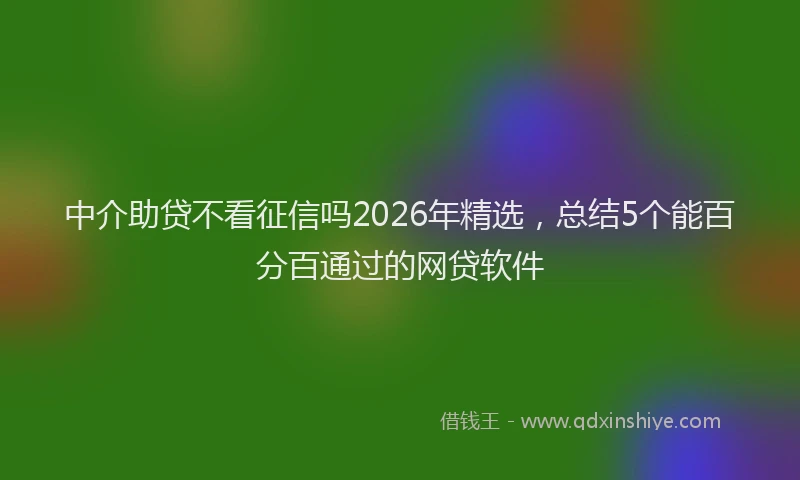 中介助贷不看征信吗2026年精选，总结5个能百分百通过的网贷软件