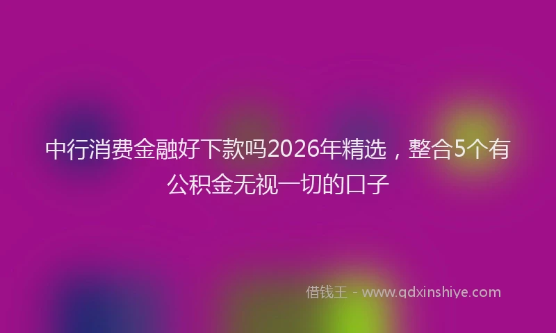 中行消费金融好下款吗2026年精选，整合5个有公积金无视一切的口子