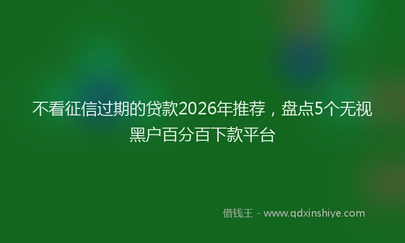 不看征信过期的贷款2026年推荐，盘点5个无视黑户百分百下款平台