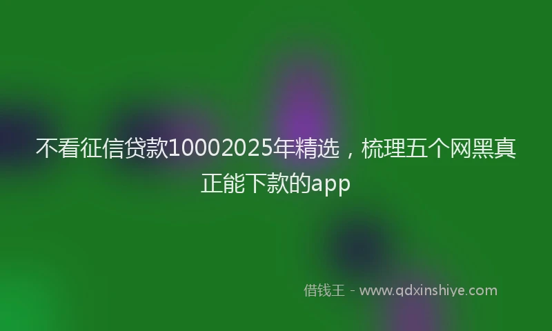 不看征信贷款10002025年精选，梳理五个网黑真正能下款的app
