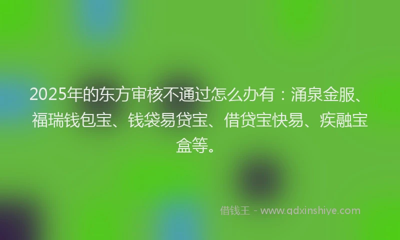 2025年的东方审核不通过怎么办有：涌泉金服、福瑞钱包宝、钱袋易贷宝、借贷宝快易、疾融宝盒等。