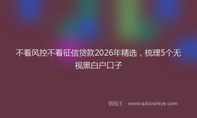 不看风控不看征信贷款2026年精选，梳理5个无视黑白户口子