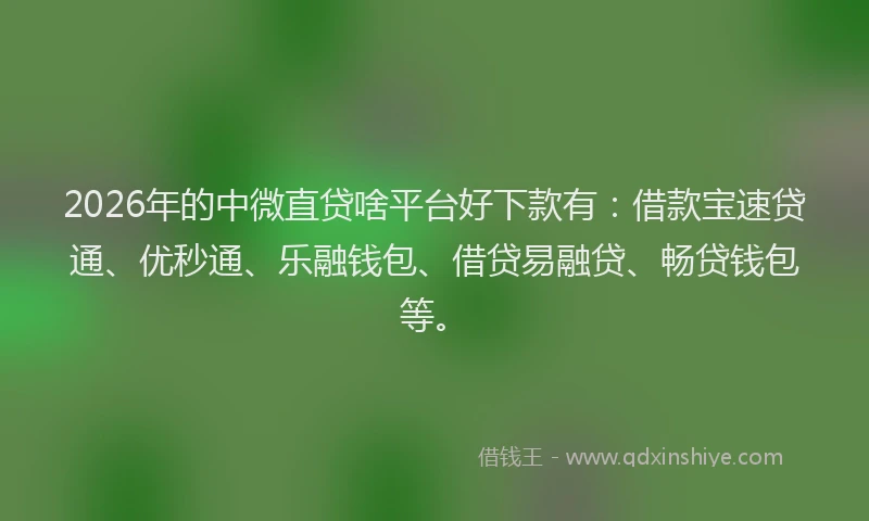 2026年的中微直贷啥平台好下款有：借款宝速贷通、优秒通、乐融钱包、借贷易融贷、畅贷钱包等。