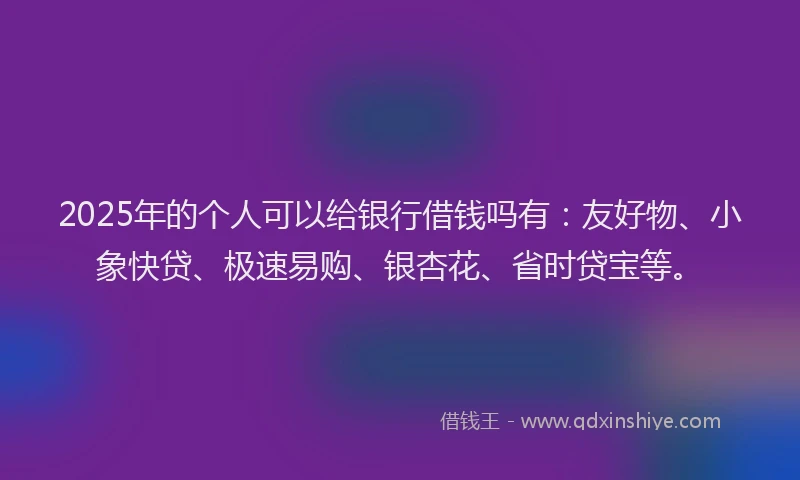 2025年的个人可以给银行借钱吗有：友好物、小象快贷、极速易购、银杏花、省时贷宝等。