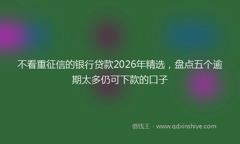 不看重征信的银行贷款2026年精选，盘点五个逾期太多仍可下款的口子