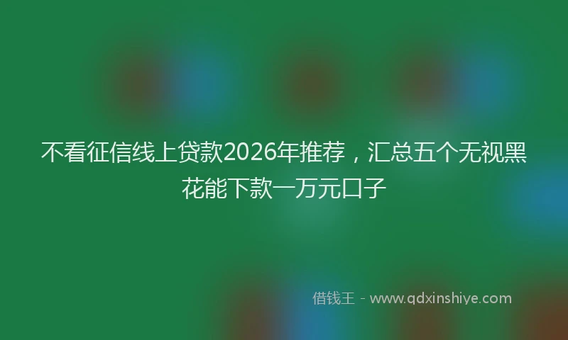不看征信线上贷款2026年推荐，汇总五个无视黑花能下款一万元口子
