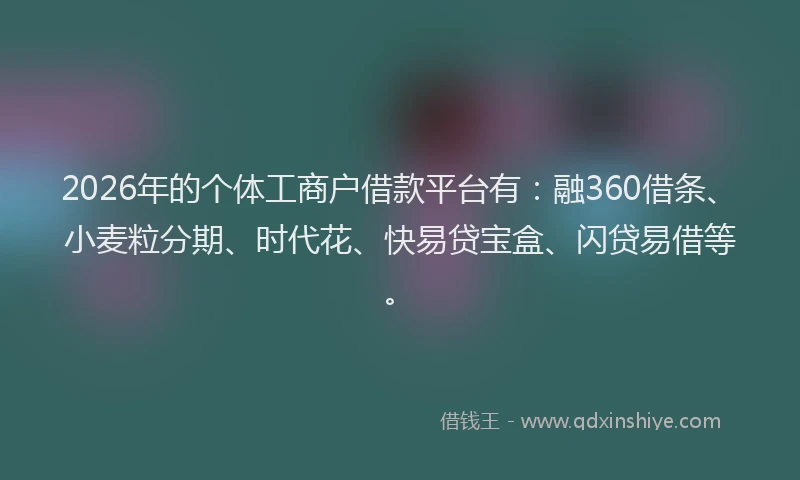 2026年的个体工商户借款平台有：融360借条、小麦粒分期、时代花、快易贷宝盒、闪贷易借等。