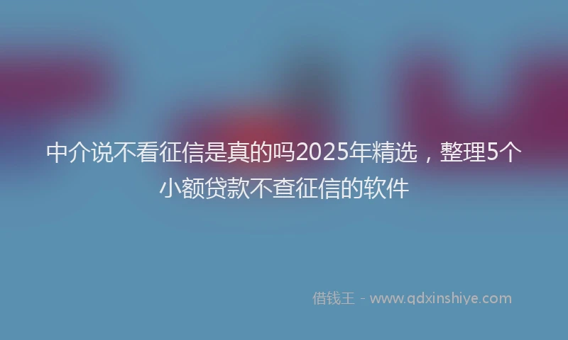 中介说不看征信是真的吗2025年精选，整理5个小额贷款不查征信的软件