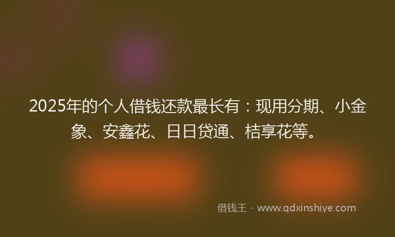 2025年的个人借钱还款最长有：现用分期、小金象、安鑫花、日日贷通、桔享花等。