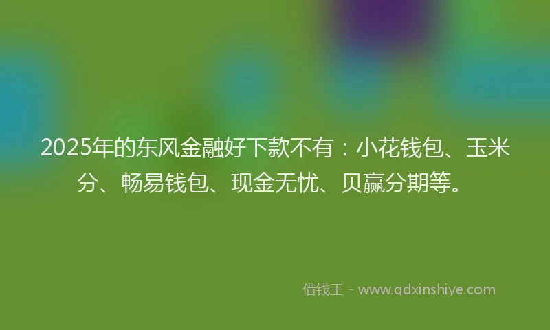 2025年的东风金融好下款不有：小花钱包、玉米分、畅易钱包、现金无忧、贝赢分期等。