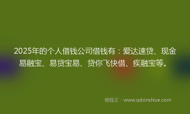 2025年的个人借钱公司借钱有:爱达速贷、现金易融宝、易贷宝易、贷你飞快借、疾融宝等。