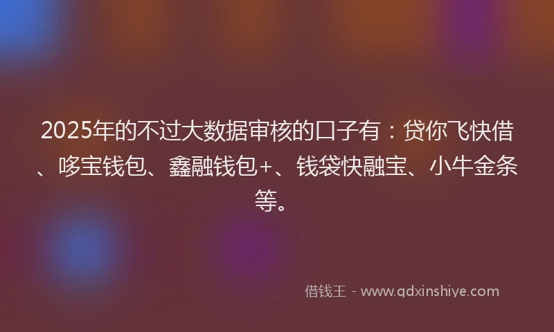 2025年的不过大数据审核的口子有:贷你飞快借、哆宝钱包、鑫融钱包+、钱袋快融宝、小牛金条等。