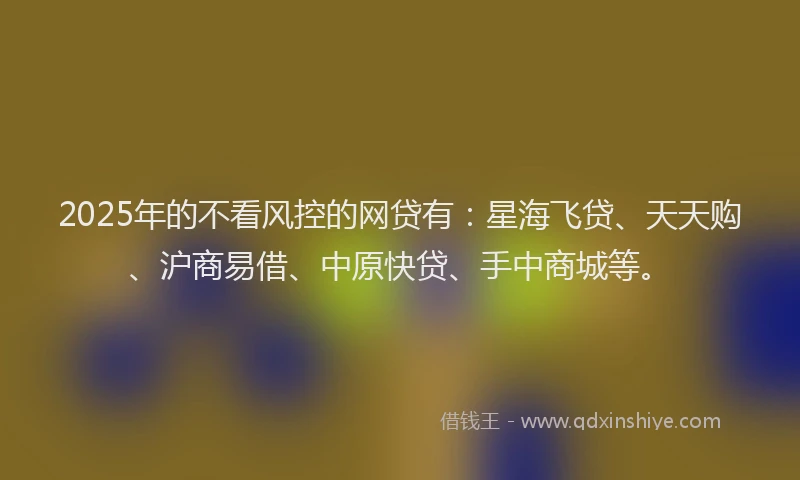 2025年的不看风控的网贷有：星海飞贷、天天购、沪商易借、中原快贷、手中商城等。