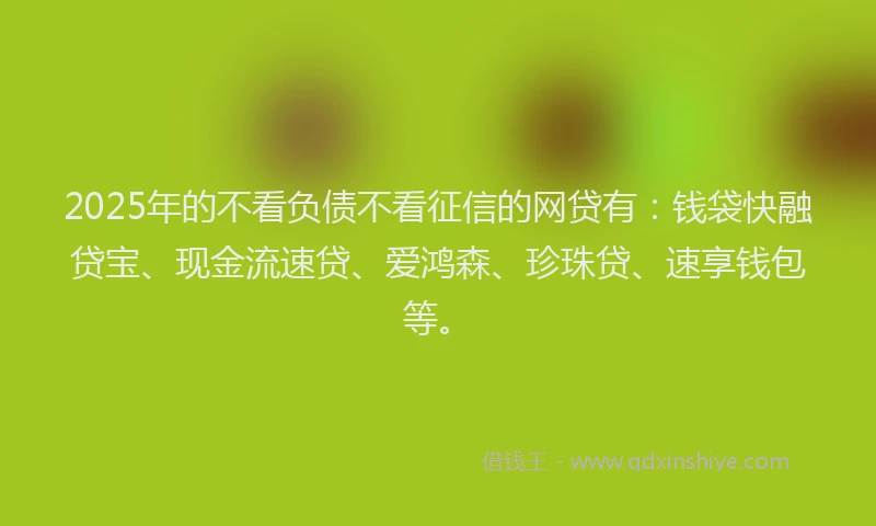 2025年的不看负债不看征信的网贷有：钱袋快融贷宝、现金流速贷、爱鸿森、珍珠贷、速享钱包等。