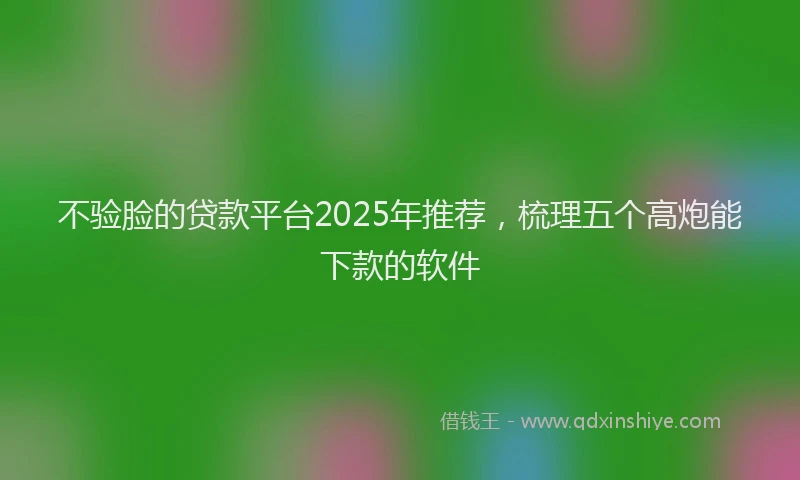 不验脸的贷款平台2025年推荐，梳理五个高炮能下款的软件