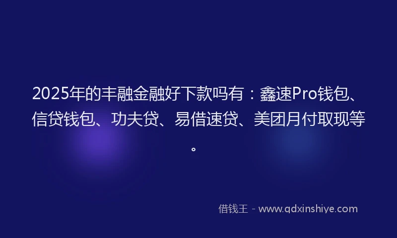2025年的丰融金融好下款吗有：鑫速Pro钱包、信贷钱包、功夫贷、易借速贷、美团月付取现等。
