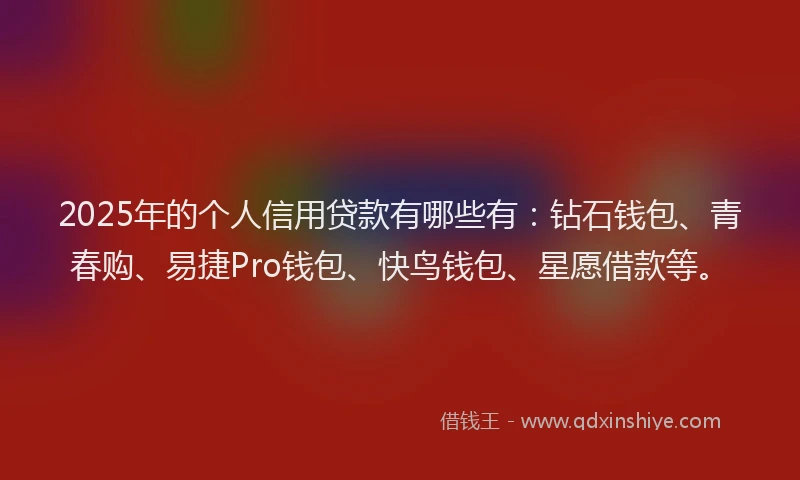 2025年的个人信用贷款有哪些有：钻石钱包、青春购、易捷Pro钱包、快鸟钱包、星愿借款等。