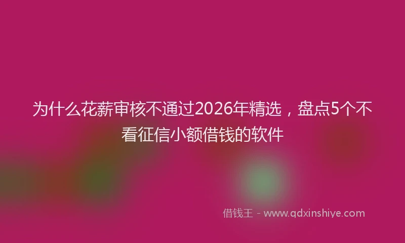 为什么花薪审核不通过2026年精选，盘点5个不看征信小额借钱的软件