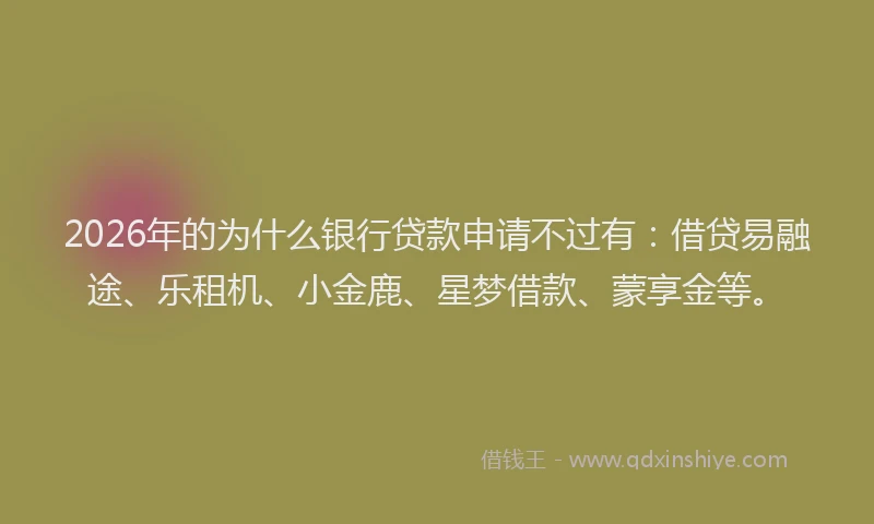 2026年的为什么银行贷款申请不过有：借贷易融途、乐租机、小金鹿、星梦借款、蒙享金等。