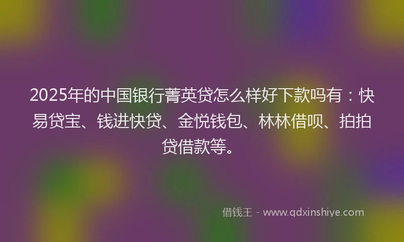 2025年的中国银行菁英贷怎么样好下款吗有：快易贷宝、钱进快贷、金悦钱包、林林借呗、拍拍贷借款等。