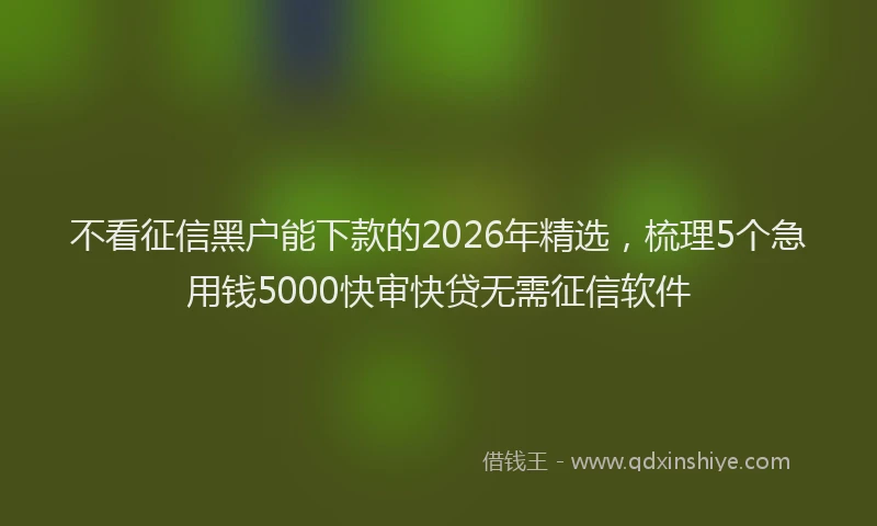 不看征信黑户能下款的2026年精选，梳理5个急用钱5000快审快贷无需征信软件
