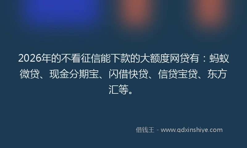 2026年的不看征信能下款的大额度网贷有：蚂蚁微贷、现金分期宝、闪借快贷、信贷宝贷、东方汇等。