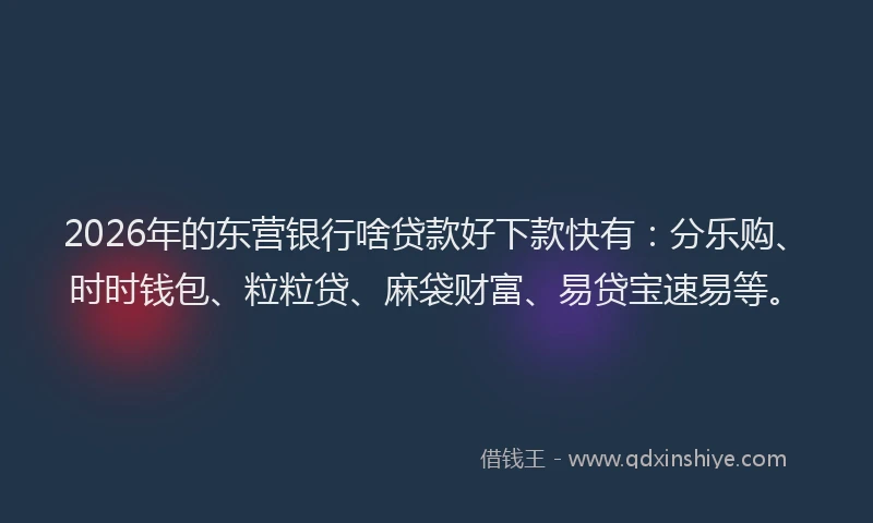 2026年的东营银行啥贷款好下款快有：分乐购、时时钱包、粒粒贷、麻袋财富、易贷宝速易等。