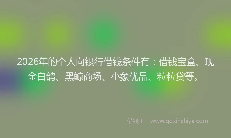 2026年的个人向银行借钱条件有：借钱宝盒、现金白鸽、黑鲸商场、小象优品、粒粒贷等。