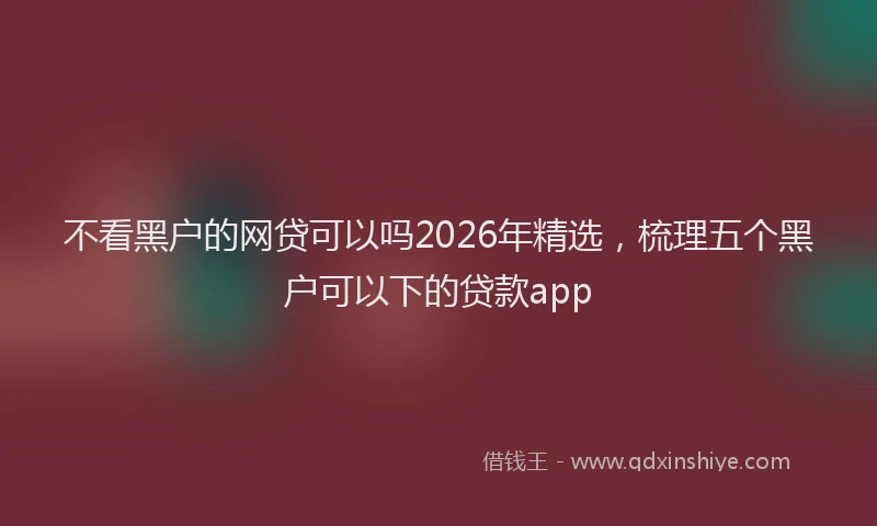 不看黑户的网贷可以吗2026年精选，梳理五个黑户可以下的贷款app