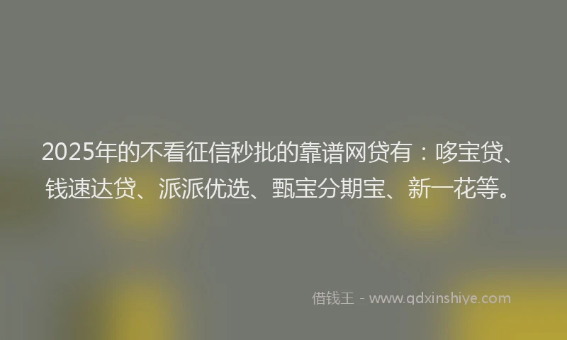 2025年的不看征信秒批的靠谱网贷有：哆宝贷、钱速达贷、派派优选、甄宝分期宝、新一花等。