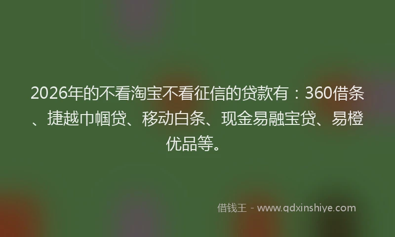 2026年的不看淘宝不看征信的贷款有：360借条、捷越巾帼贷、移动白条、现金易融宝贷、易橙优品等。