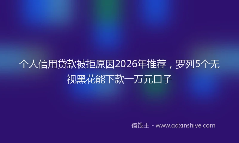 个人信用贷款被拒原因2026年推荐，罗列5个无视黑花能下款一万元口子