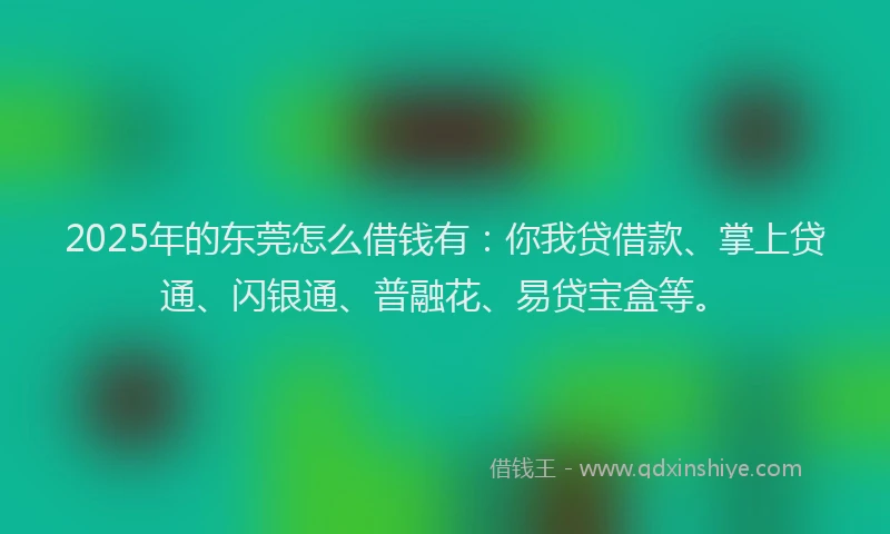 2025年的东莞怎么借钱有：你我贷借款、掌上贷通、闪银通、普融花、易贷宝盒等。