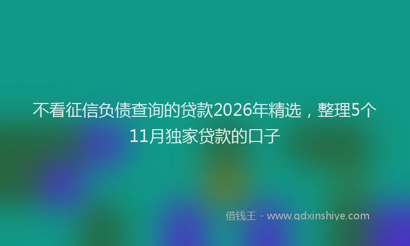 不看征信负债查询的贷款2026年精选，整理5个11月独家贷款的口子