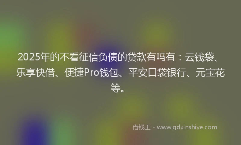 2025年的不看征信负债的贷款有吗有：云钱袋、乐享快借、便捷Pro钱包、平安口袋银行、元宝花等。