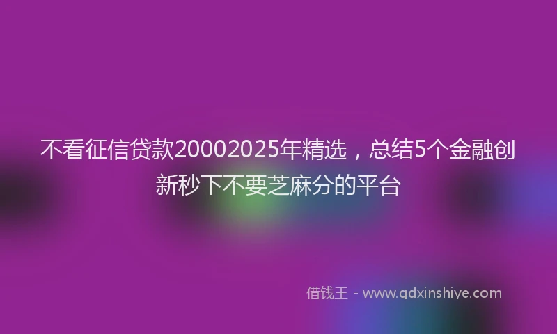 不看征信贷款20002025年精选，总结5个金融创新秒下不要芝麻分的平台