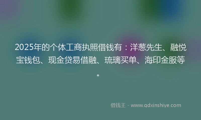 2025年的个体工商执照借钱有：洋葱先生、融悦宝钱包、现金贷易借融、琉璃买单、海印金服等。