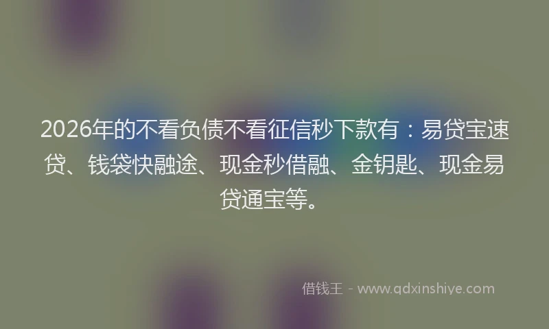 2026年的不看负债不看征信秒下款有:易贷宝速贷、钱袋快融途、现金秒借融、金钥匙、现金易贷通宝等。