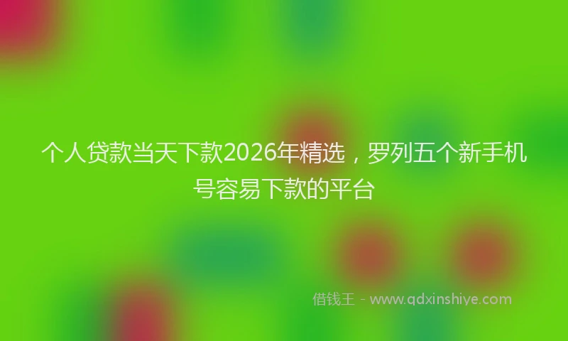 个人贷款当天下款2026年精选，罗列五个新手机号容易下款的平台