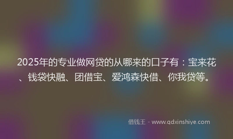 2025年的专业做网贷的从哪来的口子有：宝来花、钱袋快融、团借宝、爱鸿森快借、你我贷等。