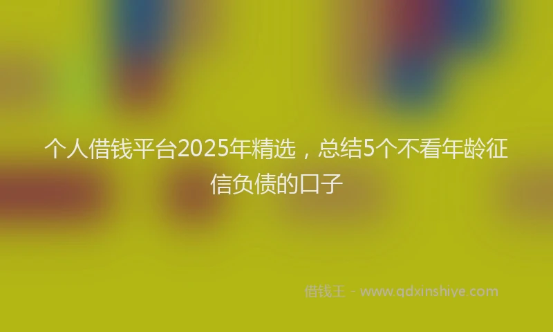 个人借钱平台2025年精选，总结5个不看年龄征信负债的口子