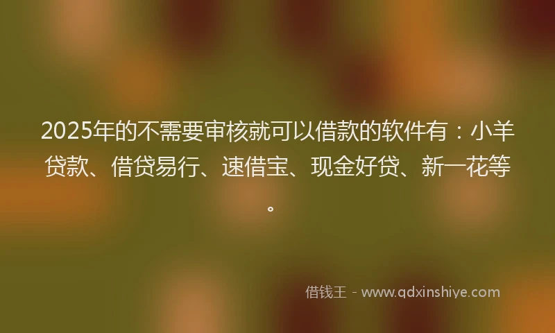 2025年的不需要审核就可以借款的软件有:小羊贷款、借贷易行、速借宝、现金好贷、新一花等。