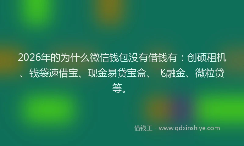 2026年的为什么微信钱包没有借钱有:创硕租机、钱袋速借宝、现金易贷宝盒、飞融金、微粒贷等。